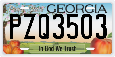 GA license plate PZQ3503