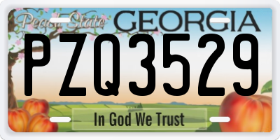 GA license plate PZQ3529