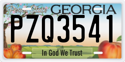 GA license plate PZQ3541