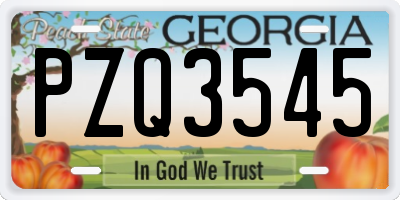 GA license plate PZQ3545