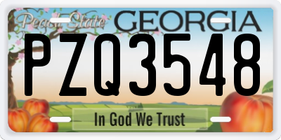 GA license plate PZQ3548