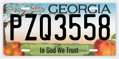 GA license plate PZQ3558