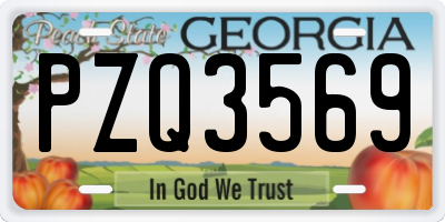 GA license plate PZQ3569