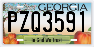 GA license plate PZQ3591