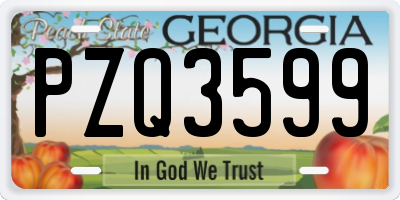 GA license plate PZQ3599