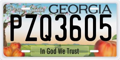 GA license plate PZQ3605