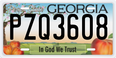 GA license plate PZQ3608