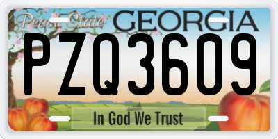 GA license plate PZQ3609