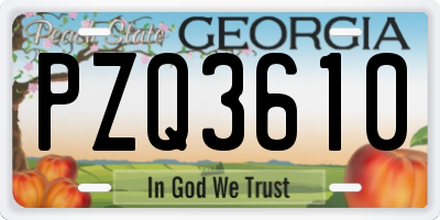 GA license plate PZQ3610