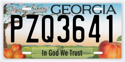 GA license plate PZQ3641