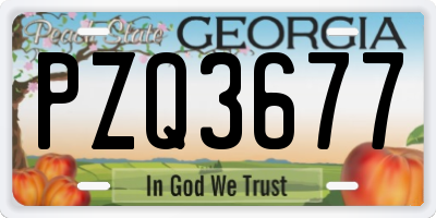 GA license plate PZQ3677