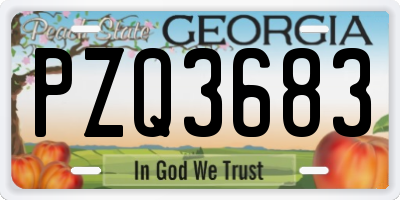 GA license plate PZQ3683