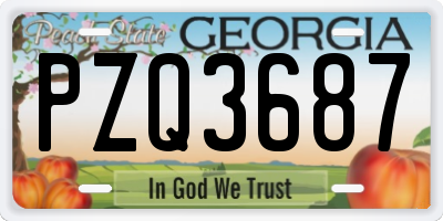 GA license plate PZQ3687