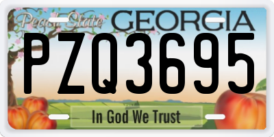 GA license plate PZQ3695