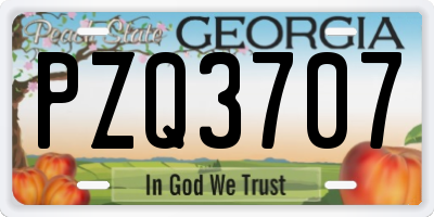 GA license plate PZQ3707