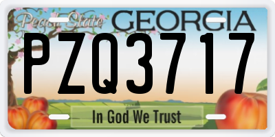 GA license plate PZQ3717