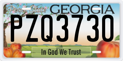 GA license plate PZQ3730