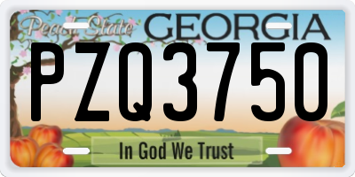 GA license plate PZQ3750
