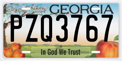 GA license plate PZQ3767