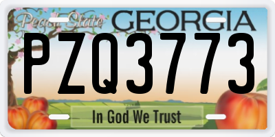 GA license plate PZQ3773