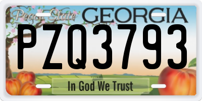 GA license plate PZQ3793
