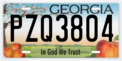 GA license plate PZQ3804