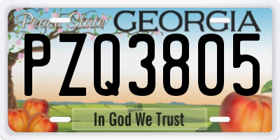 GA license plate PZQ3805