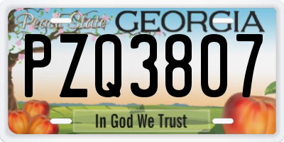 GA license plate PZQ3807