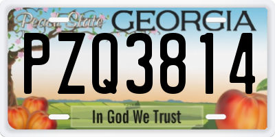 GA license plate PZQ3814