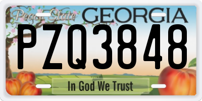 GA license plate PZQ3848