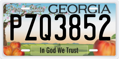 GA license plate PZQ3852