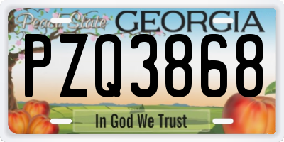 GA license plate PZQ3868
