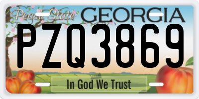 GA license plate PZQ3869