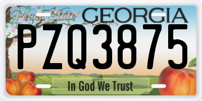 GA license plate PZQ3875