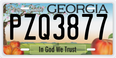 GA license plate PZQ3877