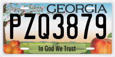 GA license plate PZQ3879
