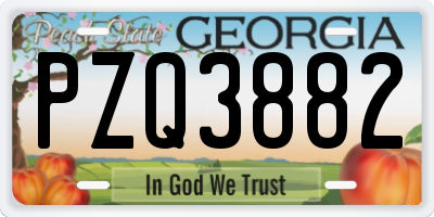GA license plate PZQ3882