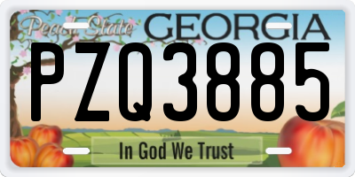 GA license plate PZQ3885