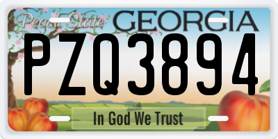 GA license plate PZQ3894