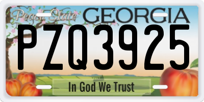 GA license plate PZQ3925