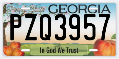 GA license plate PZQ3957