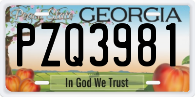 GA license plate PZQ3981