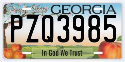 GA license plate PZQ3985