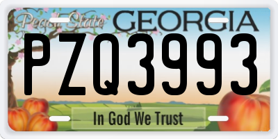 GA license plate PZQ3993