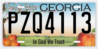 GA license plate PZQ4113