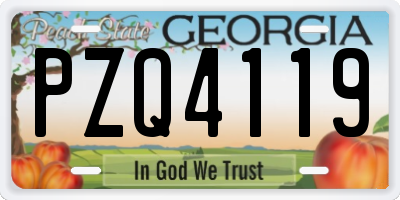 GA license plate PZQ4119