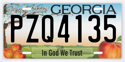 GA license plate PZQ4135