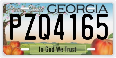 GA license plate PZQ4165