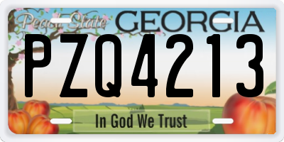 GA license plate PZQ4213