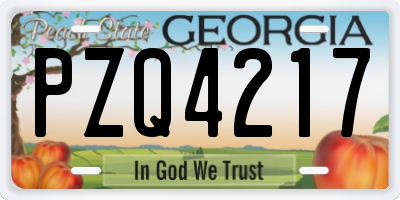 GA license plate PZQ4217